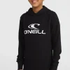 O'Neill Logo Hoodie | | O’Neill Flash Sale