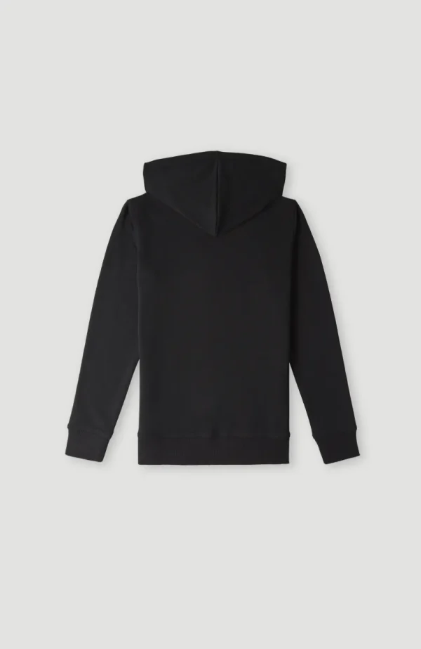 O'Neill Logo Hoodie | | O’Neill Flash Sale