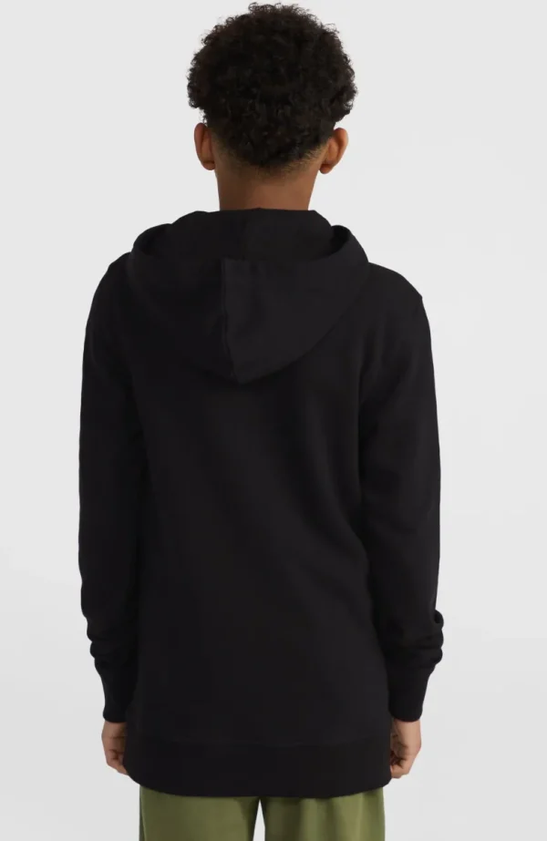 O'Neill Logo Hoodie | | O’Neill Flash Sale
