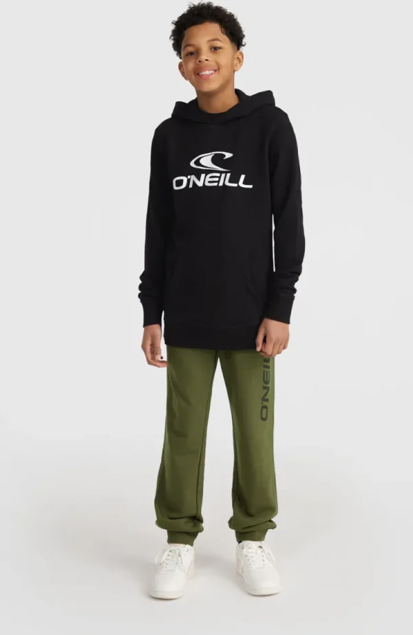 O'Neill Logo Hoodie | | O’Neill Flash Sale