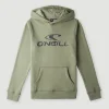 O'Neill Logo Hoodie | | O’Neill Flash Sale