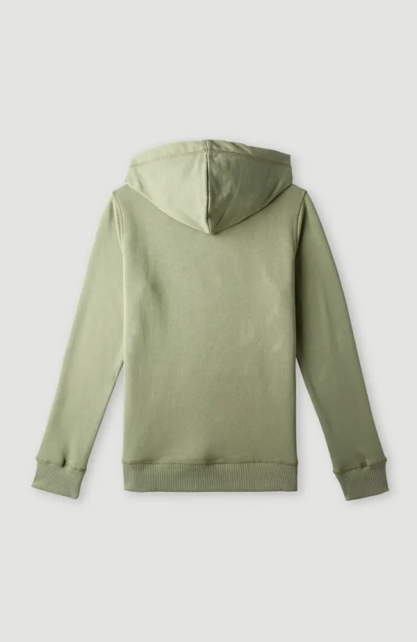 O'Neill Logo Hoodie | | O’Neill Flash Sale