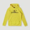 O'Neill Logo Hoodie | | O’Neill Clearance