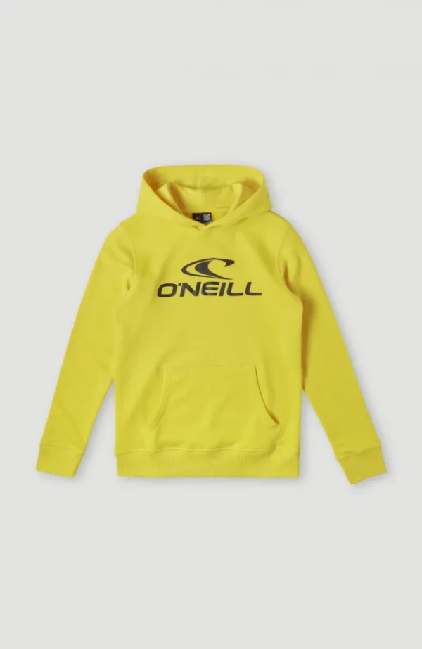 O'Neill Logo Hoodie | | O’Neill Clearance