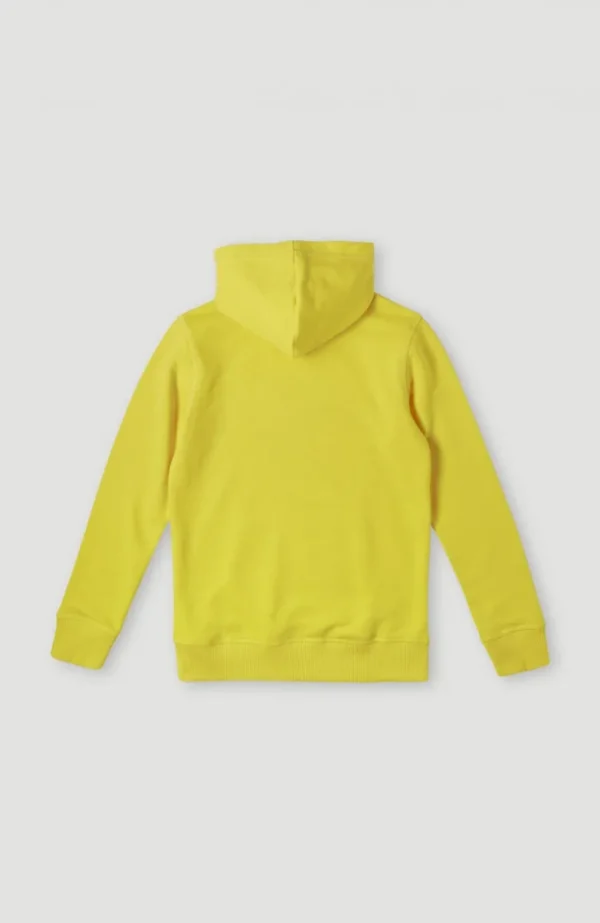 O'Neill Logo Hoodie | | O’Neill Clearance