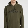 O'Neill Logo Hoodie | | O’Neill Discount