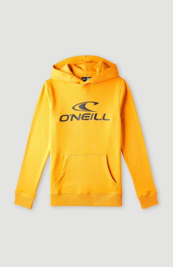 O'Neill Logo Hoodie | | O’Neill Store