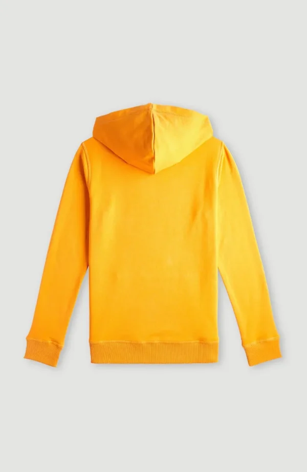 O'Neill Logo Hoodie | | O’Neill Store