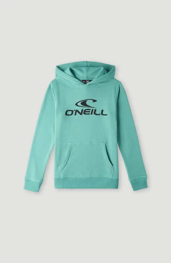 O'Neill Logo Hoodie | | O’Neill Outlet