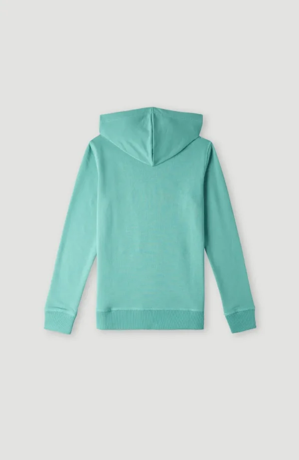 O'Neill Logo Hoodie | | O’Neill Outlet