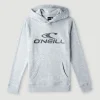 O'Neill Logo Hoodie | | O’Neill Best