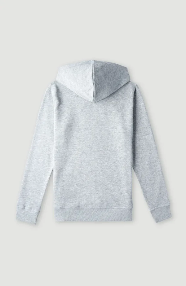 O'Neill Logo Hoodie | | O’Neill Best