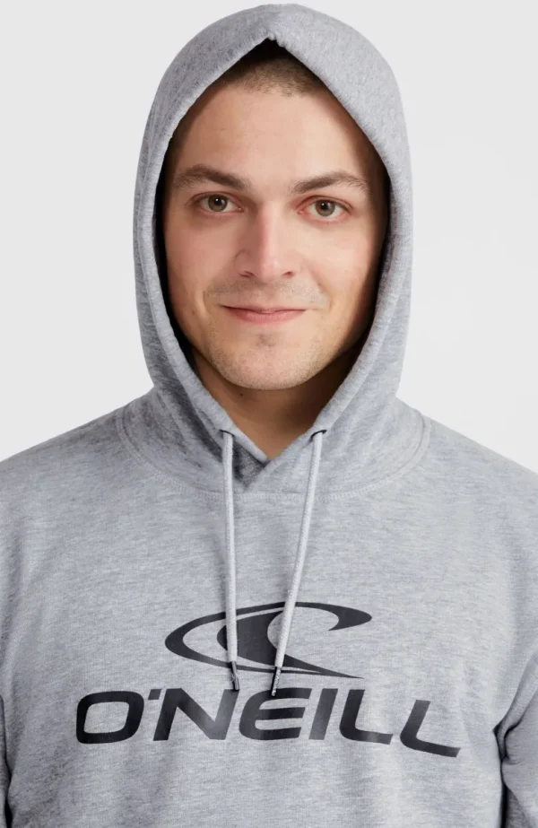 O'Neill Logo Hoodie | | O’Neill Flash Sale