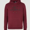 O'Neill Logo Hoodie | | O’Neill Online