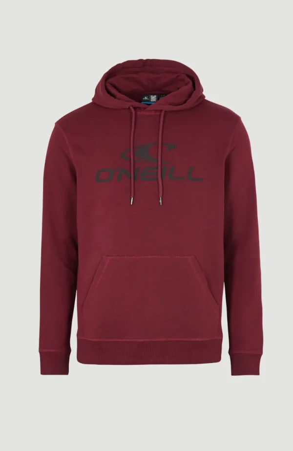 O'Neill Logo Hoodie | | O’Neill Online