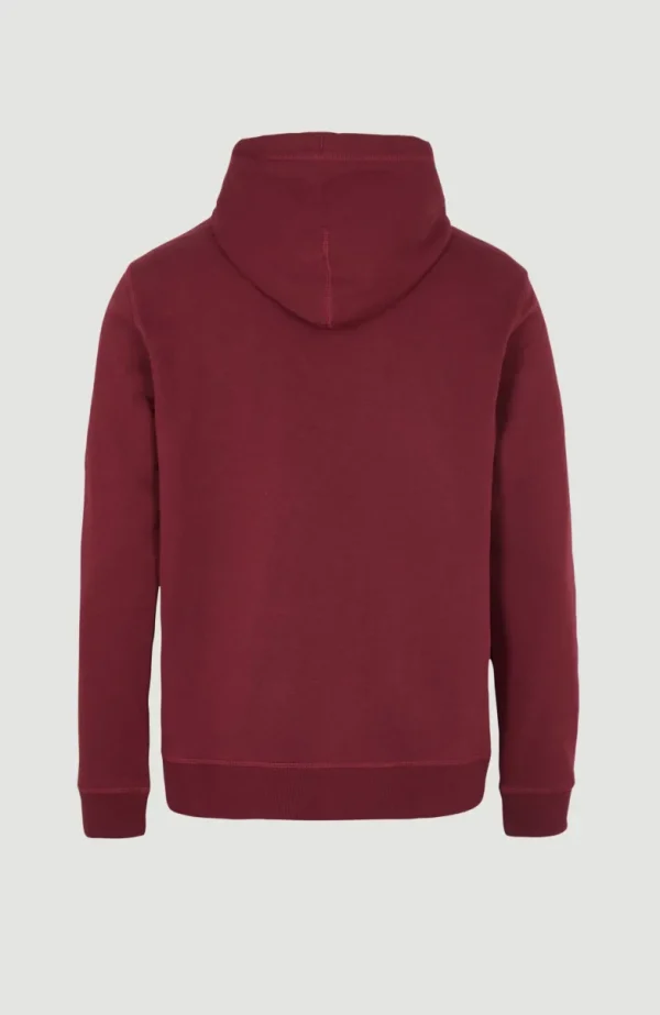 O'Neill Logo Hoodie | | O’Neill Online