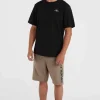 O'Neill Logo Sweatshort | | O’Neill Hot