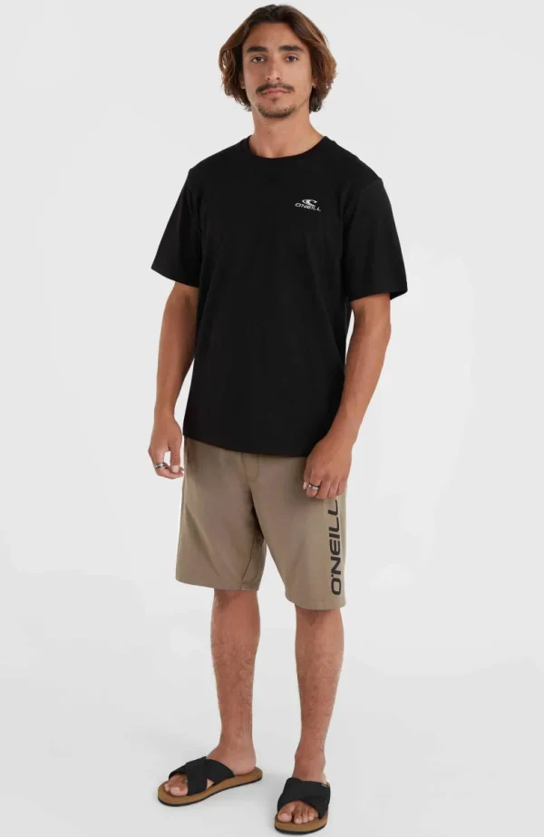 O'Neill Logo Sweatshort | | O’Neill Hot