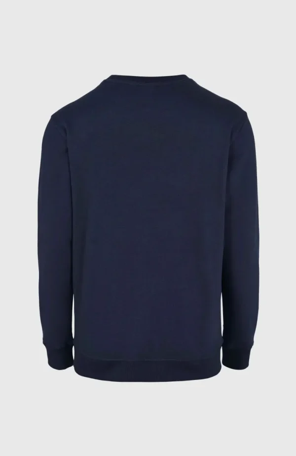 O'Neill Small Logo Crew Sweater | | O’Neill Outlet