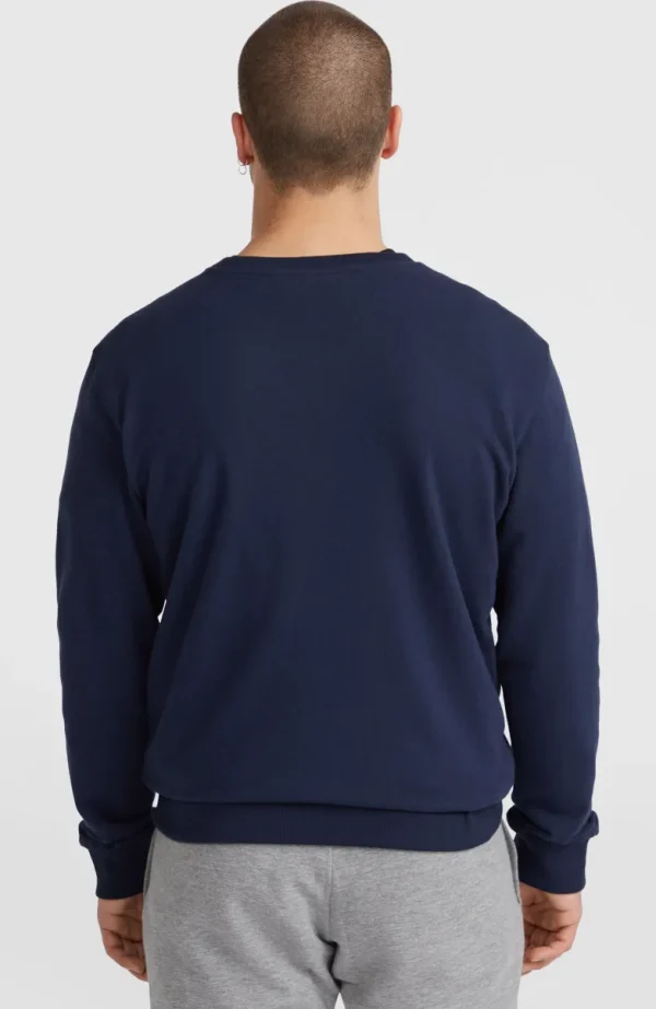 O'Neill Small Logo Crew Sweater | | O’Neill Outlet
