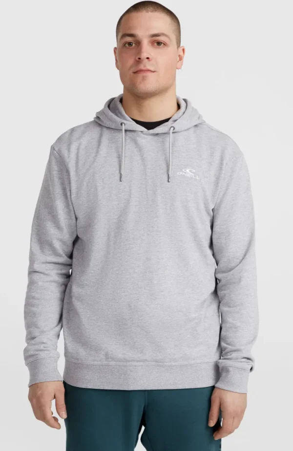 O'Neill Small Logo Hoodie | | O’Neill Fashion