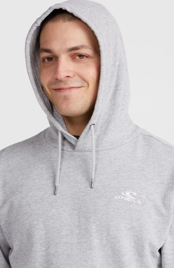 O'Neill Small Logo Hoodie | | O’Neill Fashion