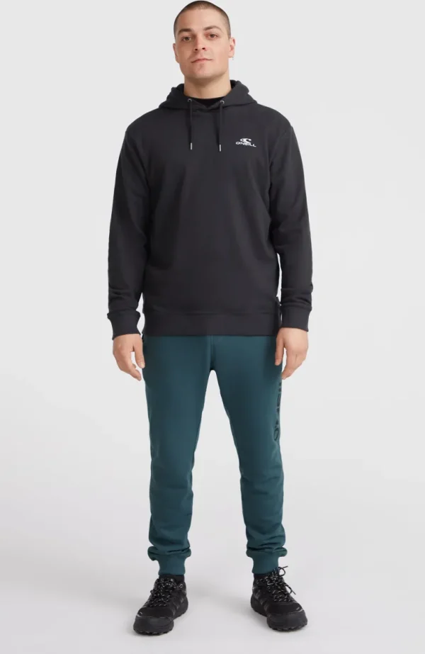 O'Neill Small Logo Hoodie | | O’Neill Hot