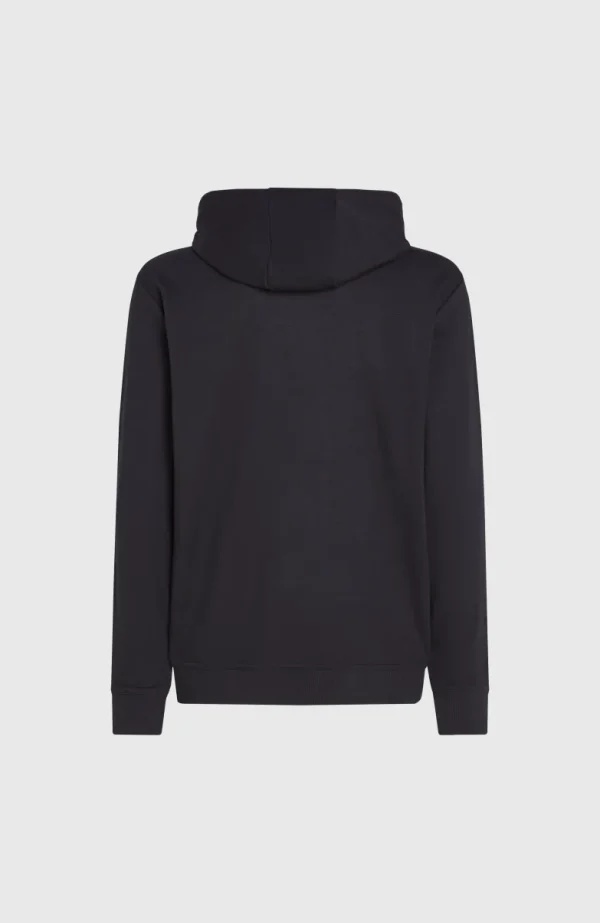 O'Neill Small Logo Hoodie | | O’Neill Hot