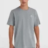 O'Neill Small Logo T-shirt | | O’Neill Flash Sale