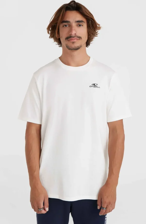 O'Neill Small Logo T-shirt | | O’Neill Hot