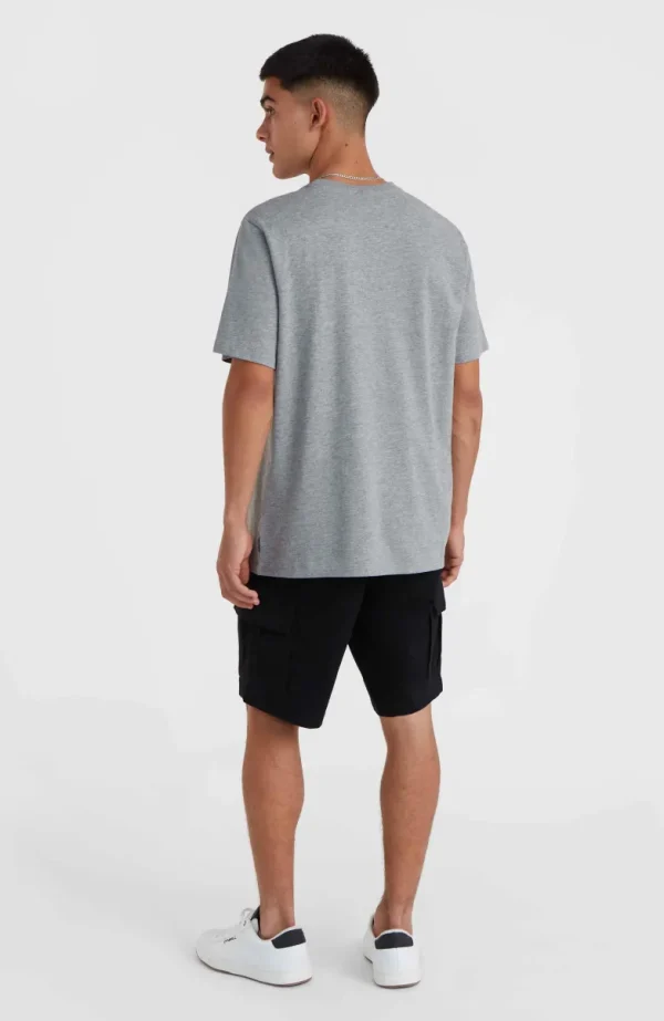 O'Neill Small Logo T-shirt | | O’Neill Flash Sale