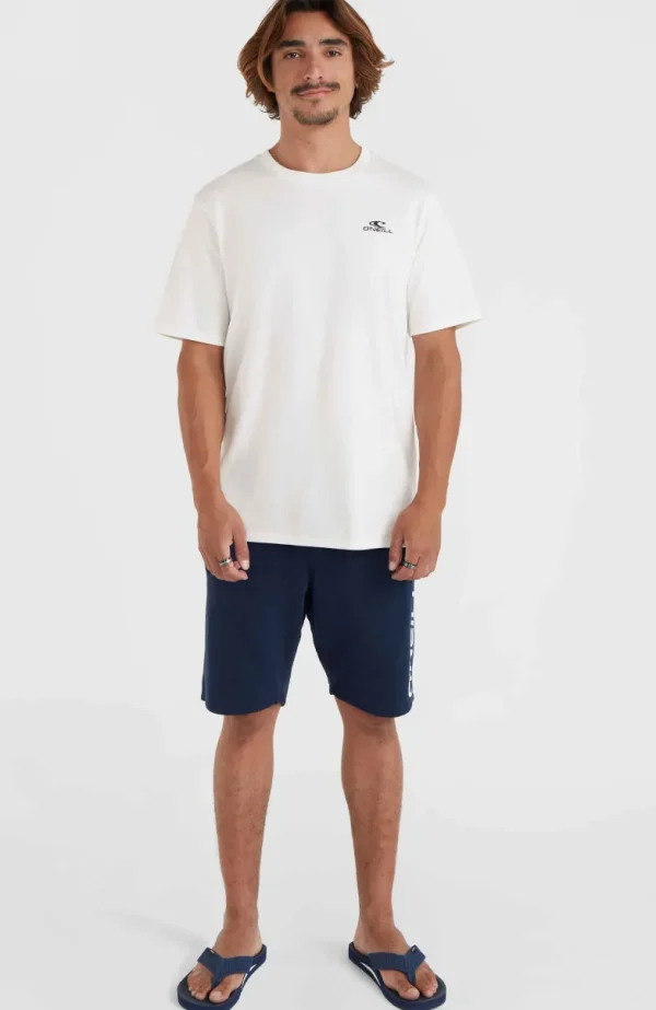 O'Neill Small Logo T-shirt | | O’Neill Hot