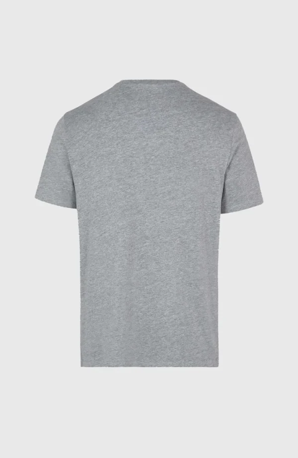 O'Neill Small Logo T-shirt | | O’Neill Flash Sale