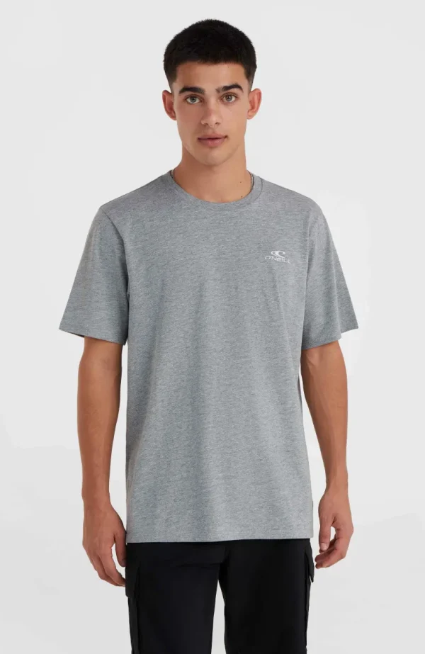 O'Neill Small Logo T-shirt | | O’Neill Flash Sale