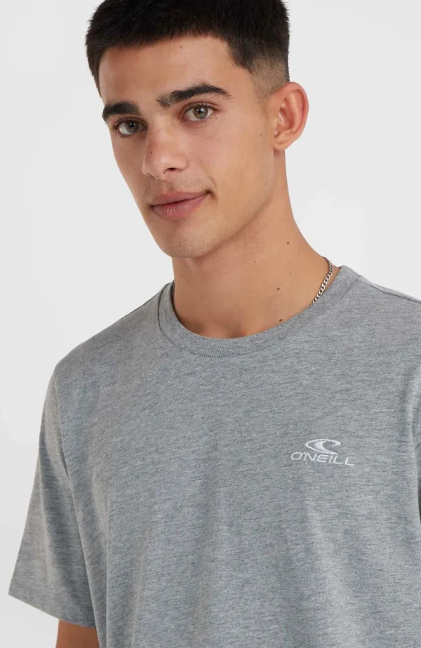 O'Neill Small Logo T-shirt | | O’Neill Flash Sale