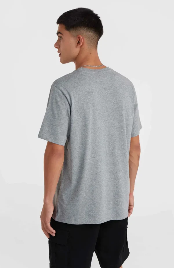 O'Neill Small Logo T-shirt | | O’Neill Flash Sale