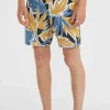 O'Riginals Print 18" Cruzers Boardshort | | O’Neill Best Sale