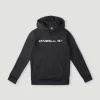 Rutile Fleece Hoodie | | O’Neill Flash Sale