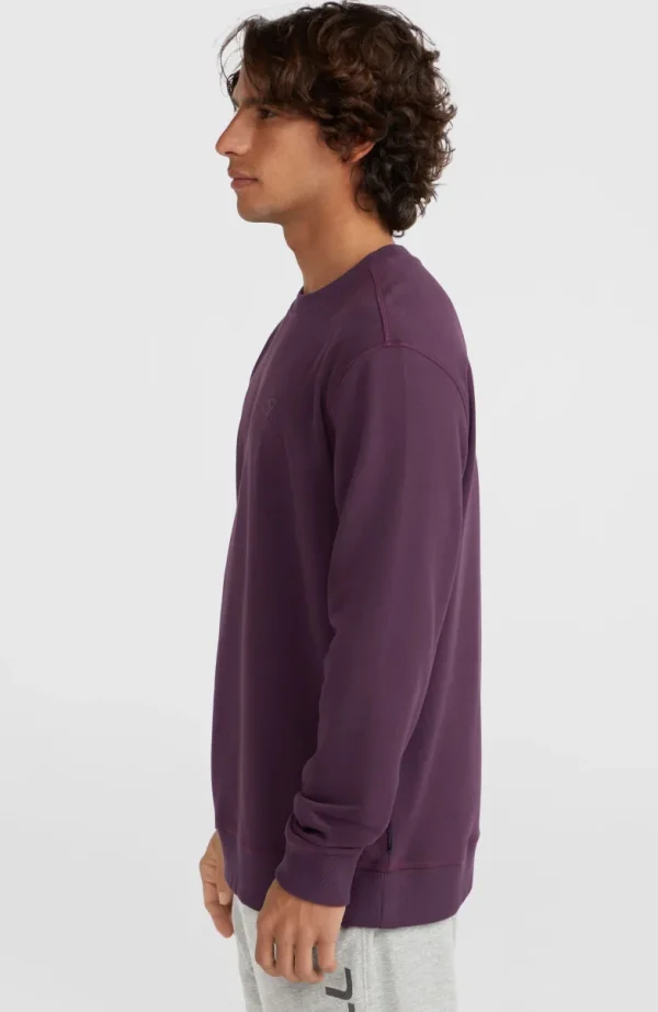 Small Logo Crew Sweater | | O’Neill Outlet