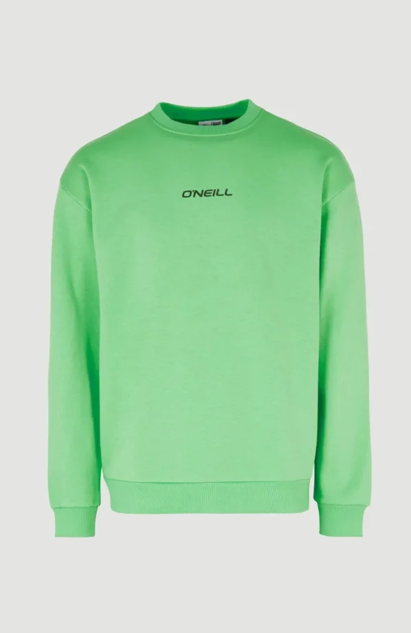 Sweater Future Surf Society | | O’Neill Cheap