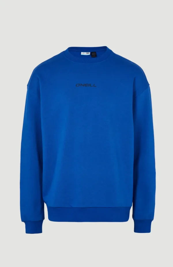 Sweater Future Surf Society | | O’Neill Discount