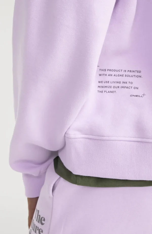 Sweater Future Surf Society Crew | | O’Neill Cheap