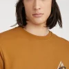 Sweater Torrey Crew | | O’Neill Cheap