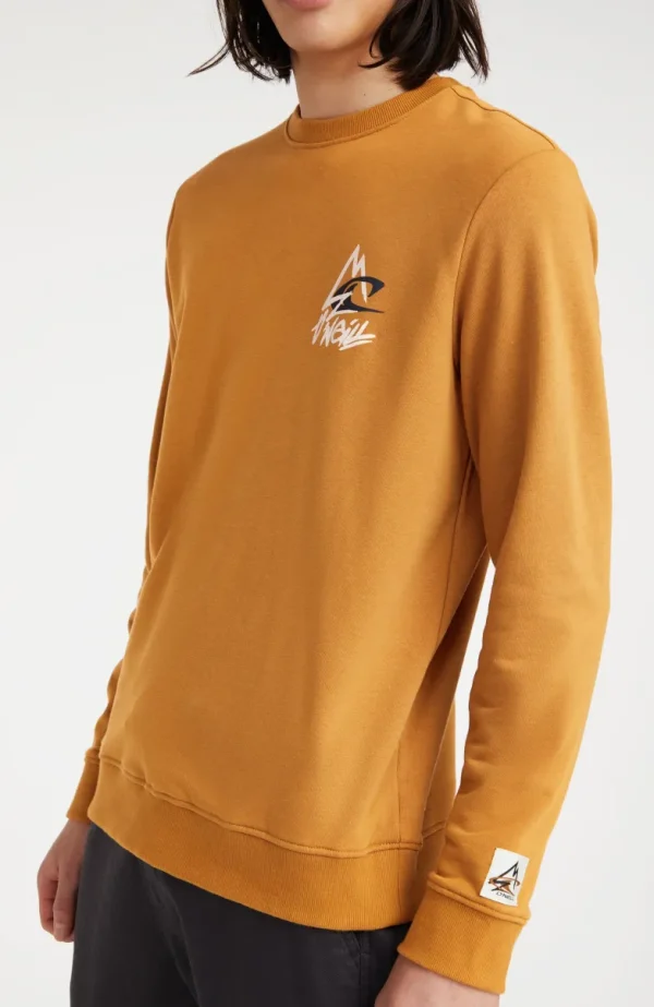 Sweater Torrey Crew | | O’Neill Cheap