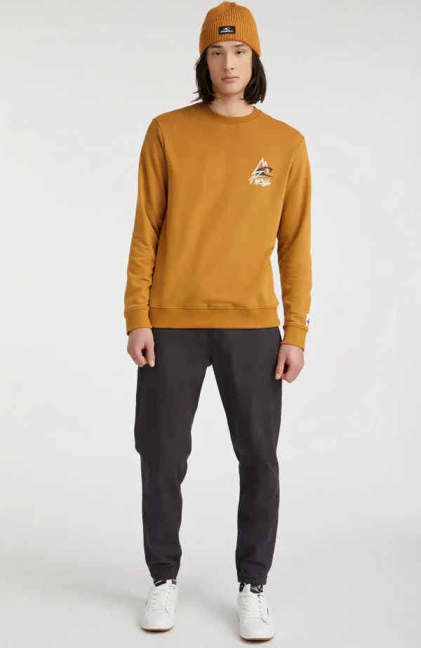 Sweater Torrey Crew | | O’Neill Cheap