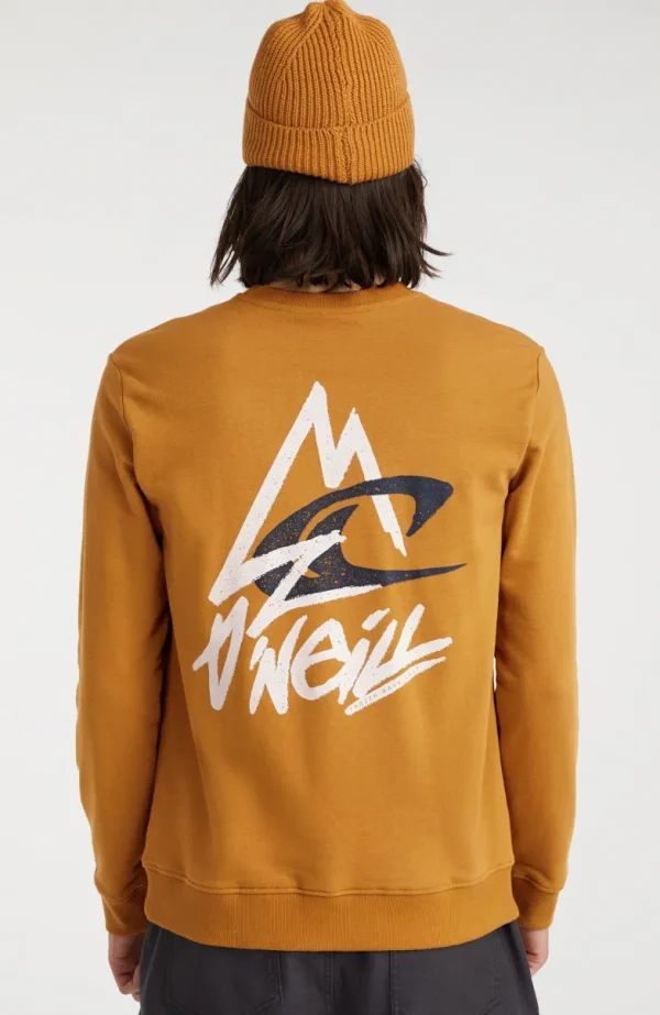 Sweater Torrey Crew | | O’Neill Cheap