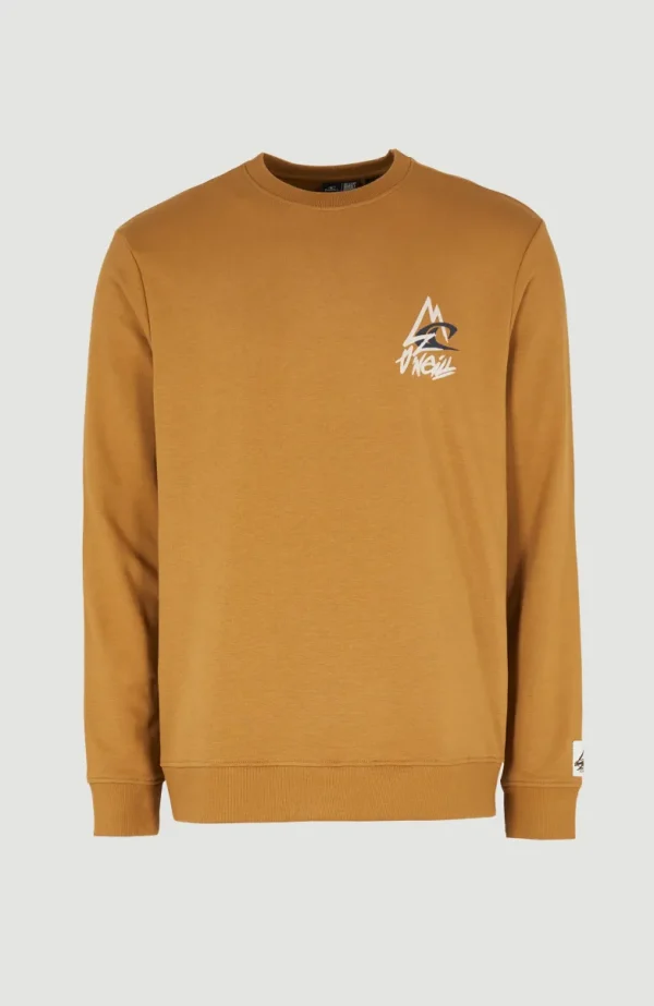 Sweater Torrey Crew | | O’Neill Cheap