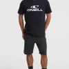 Sweatshort O'Neill Logo | | O’Neill New