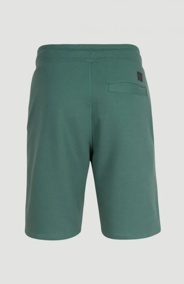 Sweatshort O'Neill Logo | | O’Neill Sale