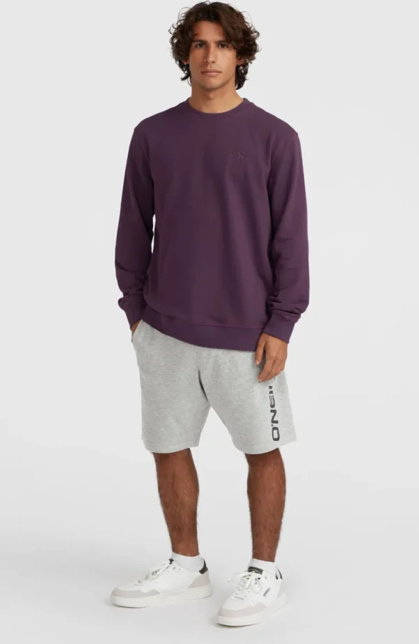 Sweatshort O'Neill Logo | | O’Neill Outlet